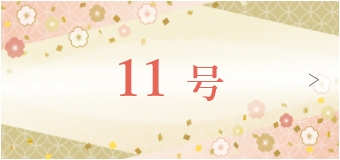 11号