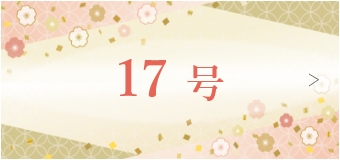 17号